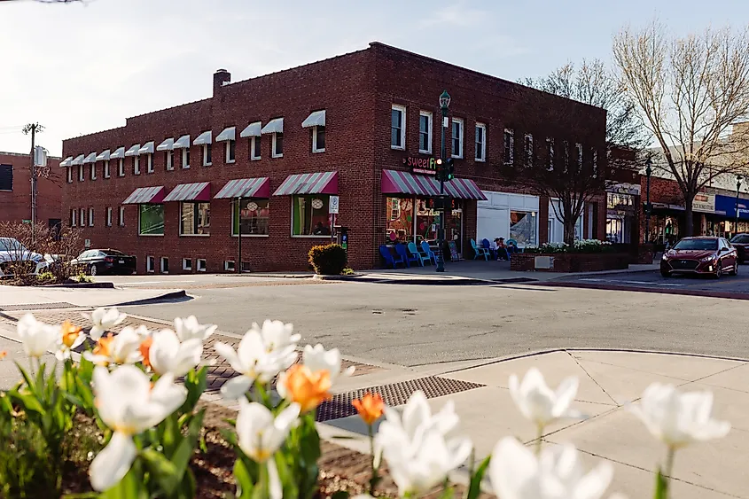 Landscaping design with colorful tulips in Hendersonville, North Carolina.