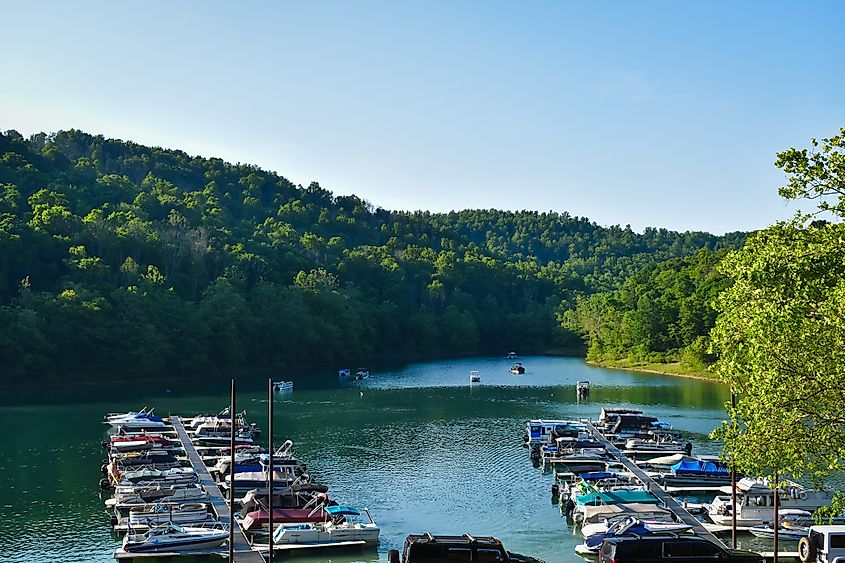 Rental boats docked in Tygart Lake Marina on a sunny day