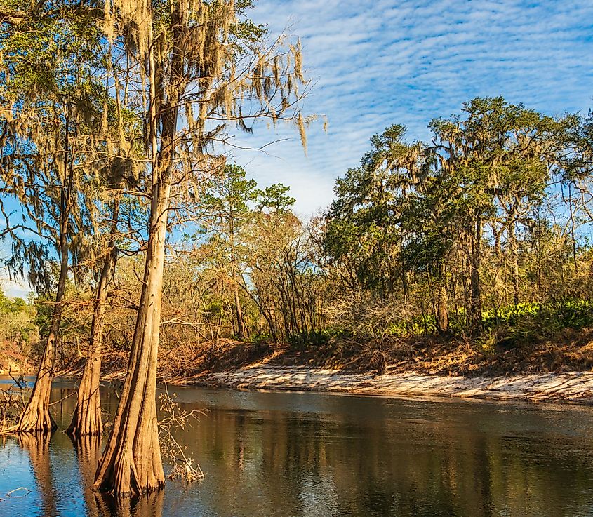 Suwannee River, White Springs, Florida