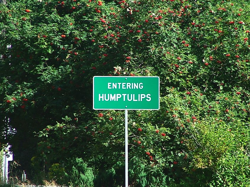 Humptulips, Washington