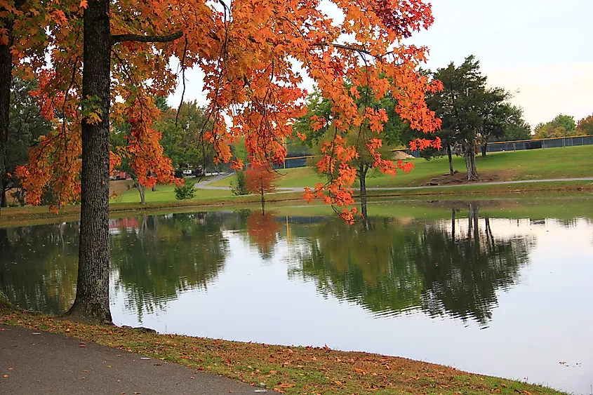 Fall colors in Batesville, Arkansas.