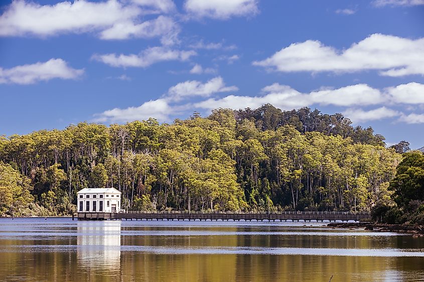 Pumphouse Point and Lake St Clair on a hot summer's day in Tasmania, Australia. 