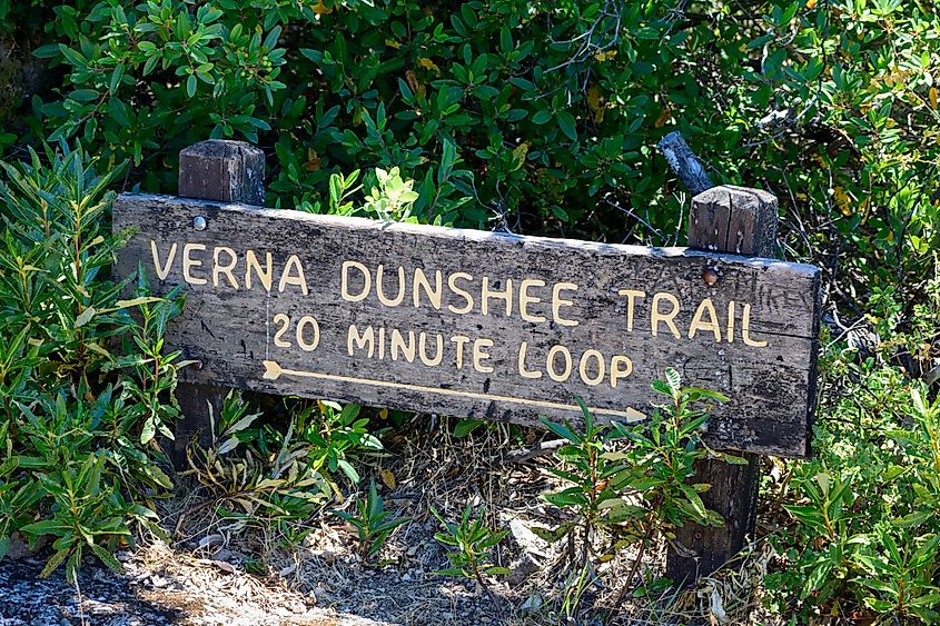 Verna Dunshee Trail sign at Mount Tamalpais.