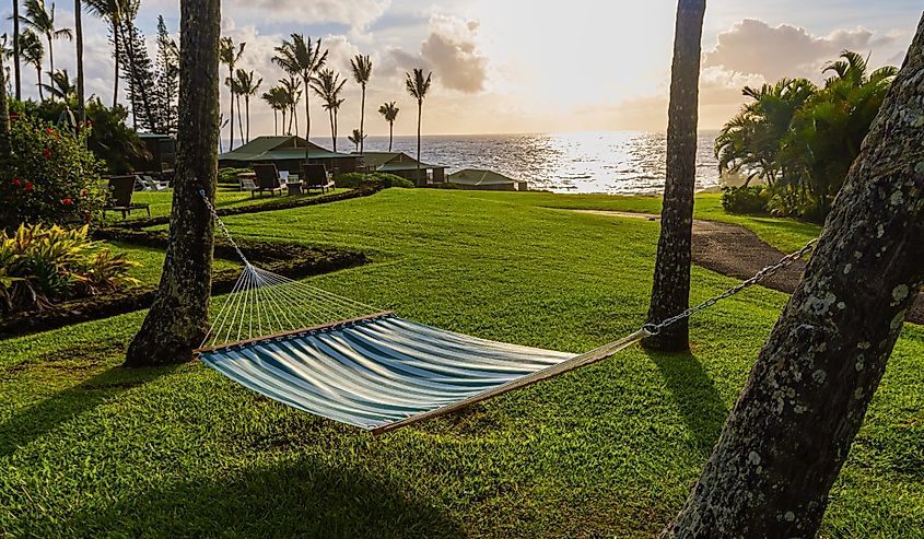 Hammock and Palm Trees Near Kaihalulu Bay, Hana, Maui, Hawaii.