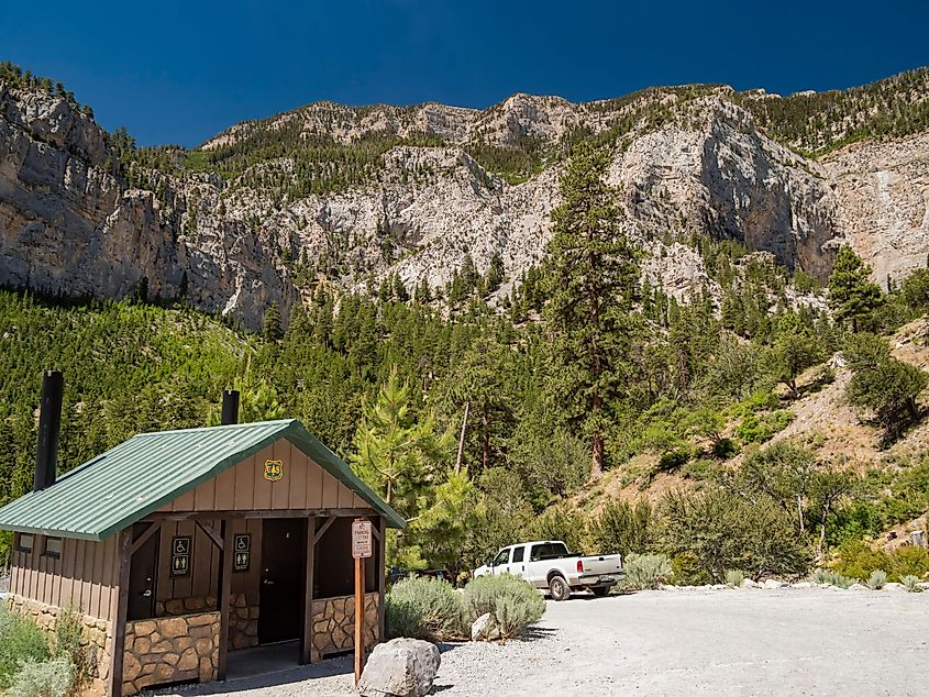 unny view of the Mary Jane Falls Trail of Mt Charleston