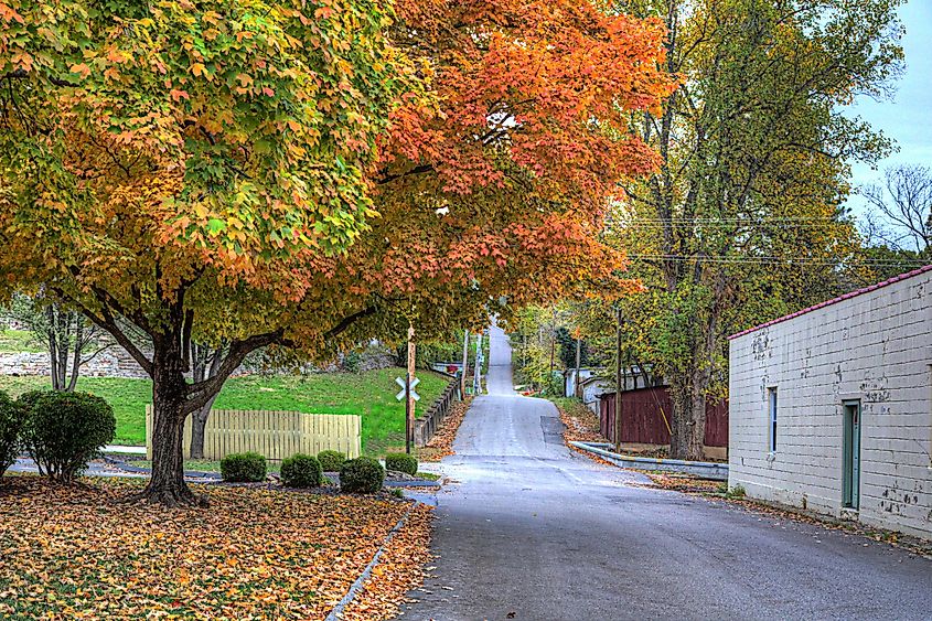 Magnificent Maple on Brickey Street Steelville Missouri Looking north down Brickey Street on a autumn afternoon
