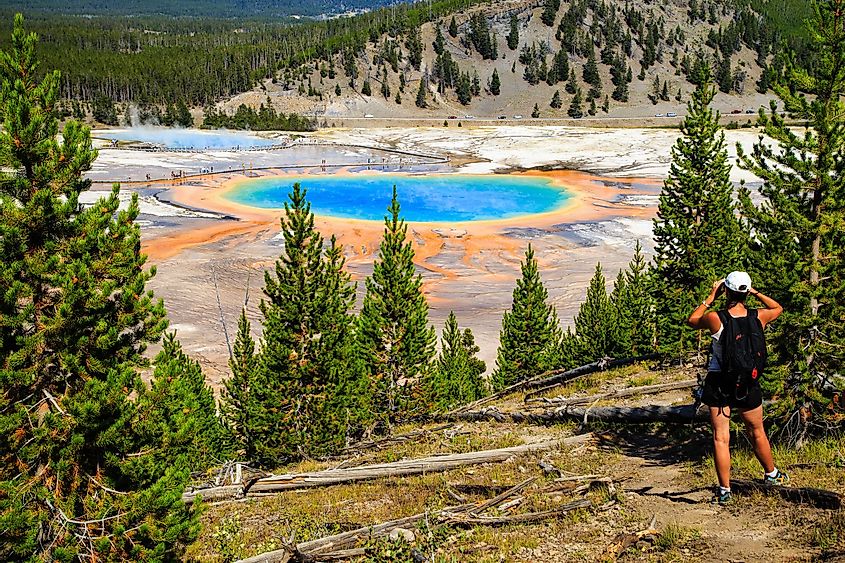 A hiker looking down on Yellowstone National Park's Grand Prismatic Spring in Yellowstone National Park