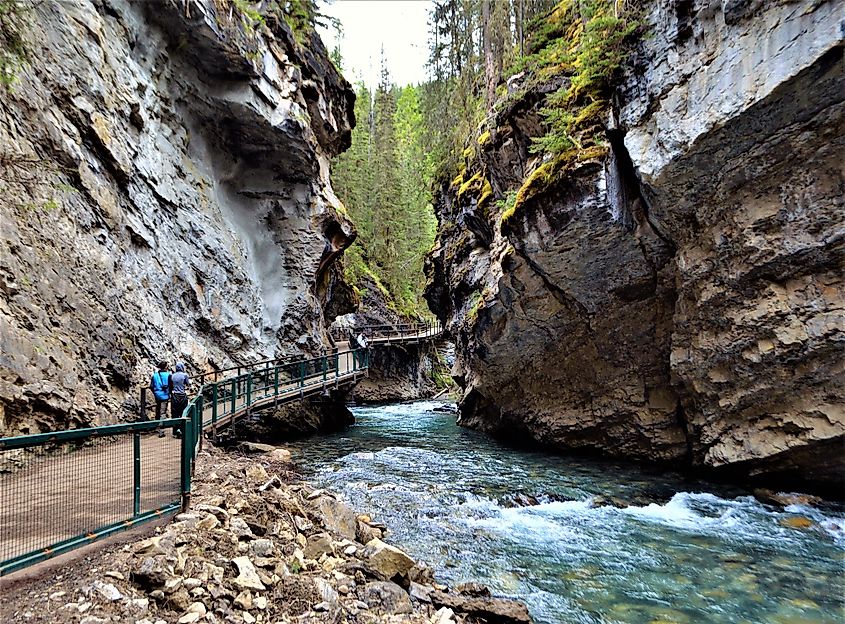 Johnston canyon hiking