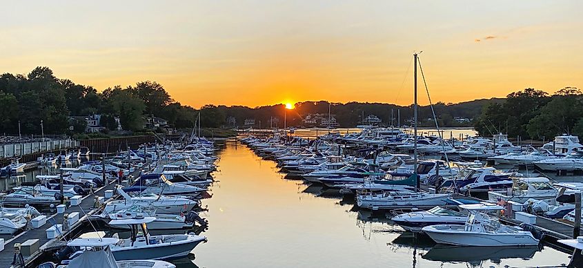 Sunsetting through the trees in the background of a marina full of docked boats backed in to their slips, via WoodysPhotos / Shutterstock.com