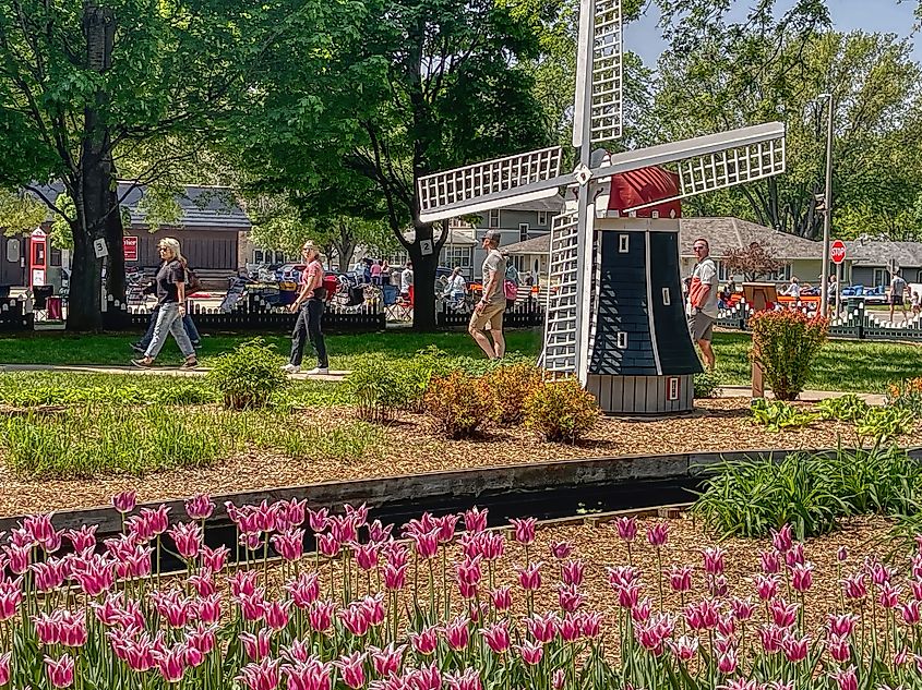 Tulip festival held in Orange City, Iowa.