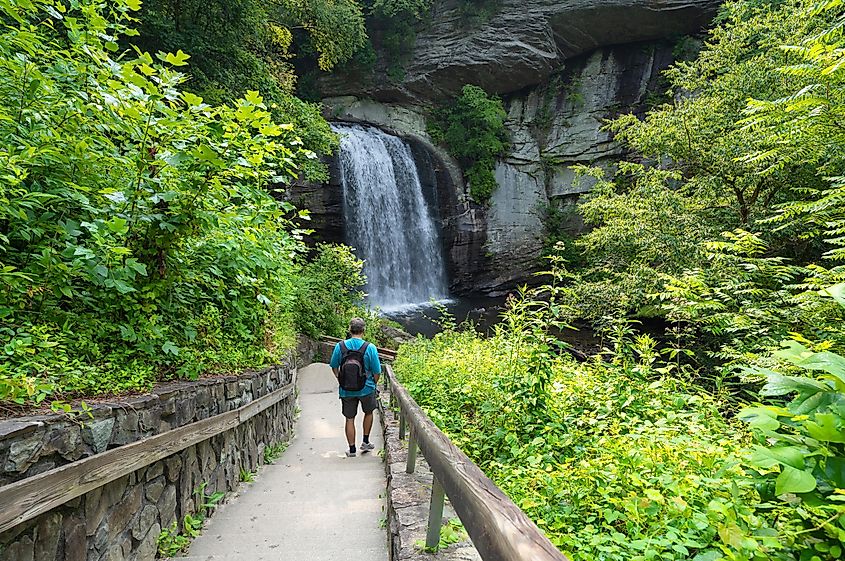 A man hiking in Pisgah National Forest near Brevard, North Carolina