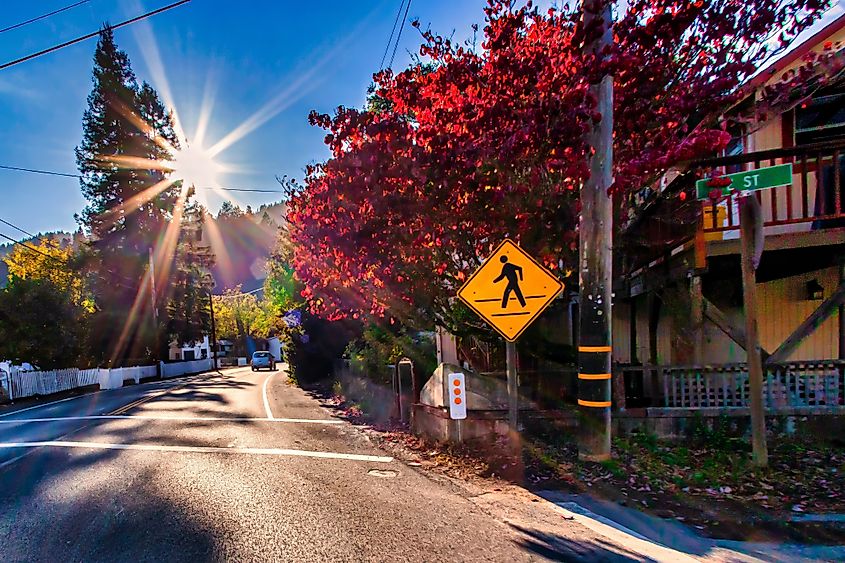 Fall colors in Guerneville, California