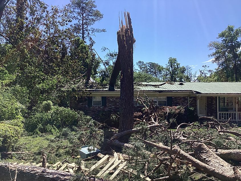 A tree that snapped and fell onto a home after a tornado struck Tallahassee, Florida, on May 10, 2024
