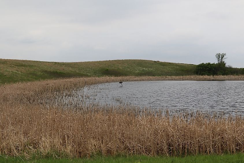 Waubay National Wildlife Refuge near Waubay, South Dakota.