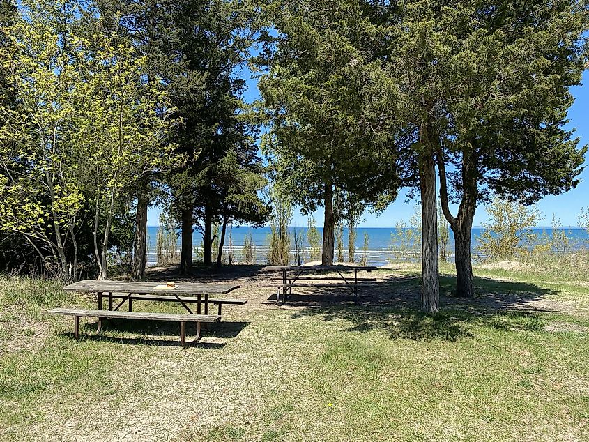 A small lunch enjoyed at a picnic table separated