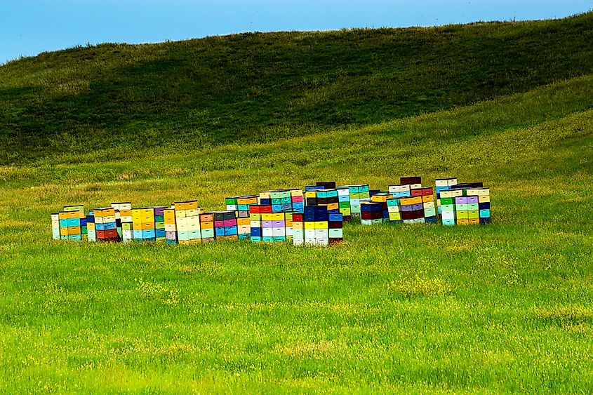 Colorful Beehives of the rolling hill of South Dakota, near Custer State Park, South Dakota