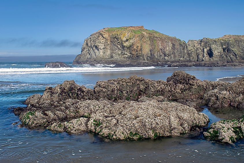 View of Elephant Rock from Coquille Point