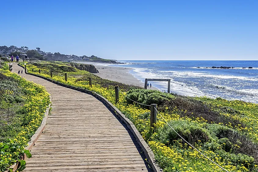 Moonstone Beach, Cambria, California