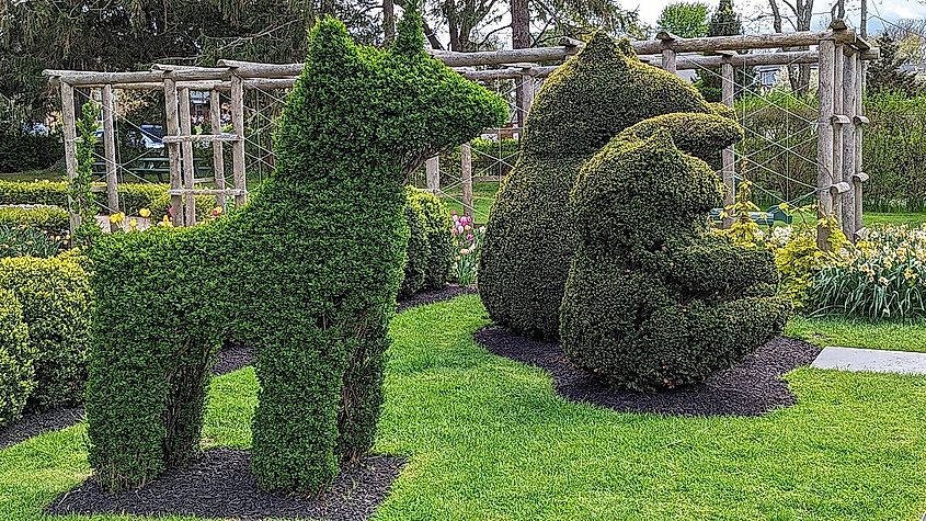 Green Animals Topiary Garden - Portsmouth, RI. Photo via Wikicommons