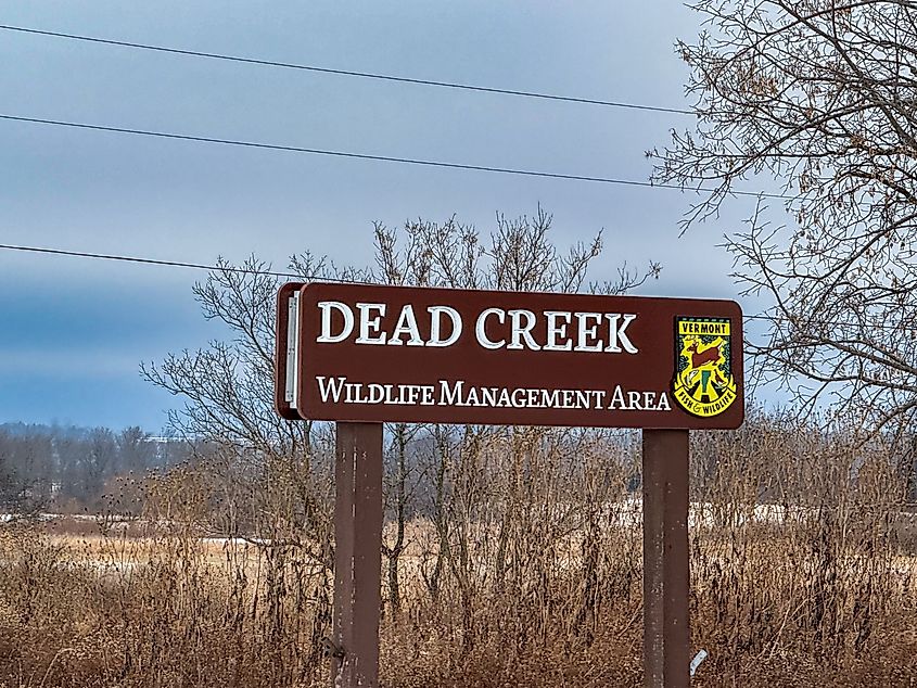 The Dead Creek Wildlife Management Area is a peaceful spot for nature lovers, featuring beautiful views and diverse habitats that draw a variety of wildlife