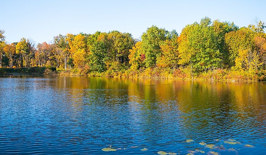 Fall colors of midwest and illinois