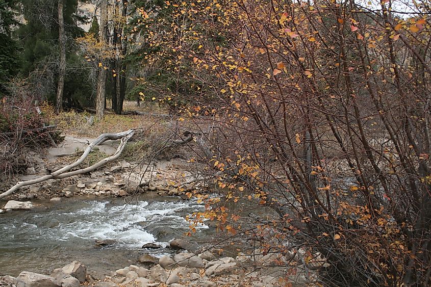 River in Huntington, Utah. Via Shutterstock / Neil Stickland.