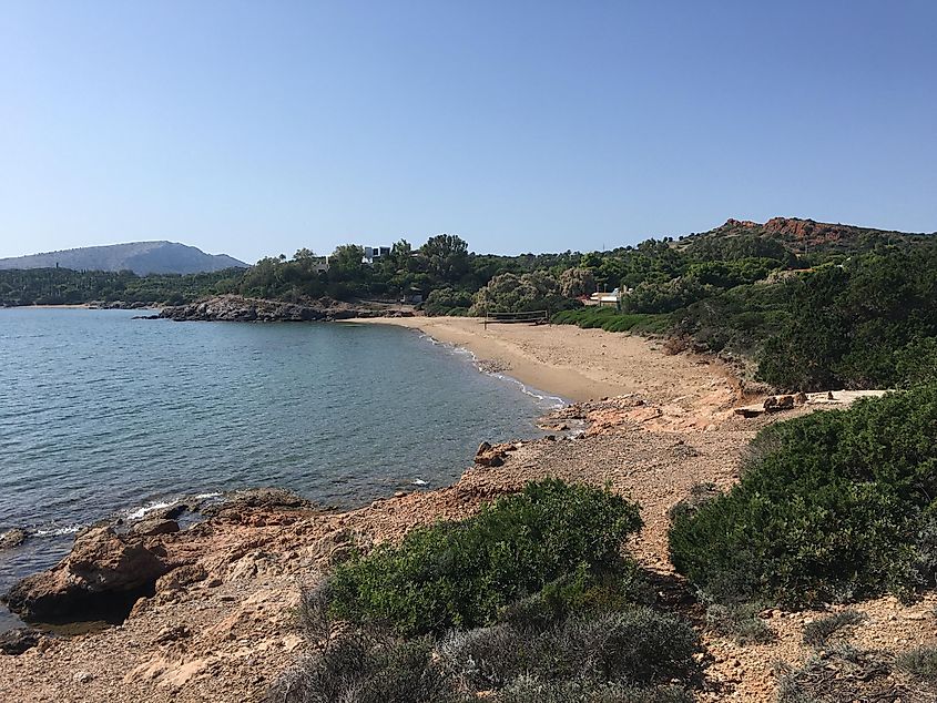 A wild, tree-lined beach meets the gentle sea on a sunny day. 