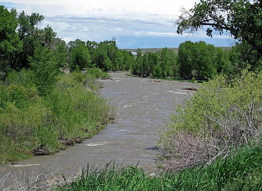 The Greybull River flowing through Meeteetse, Wyoming.