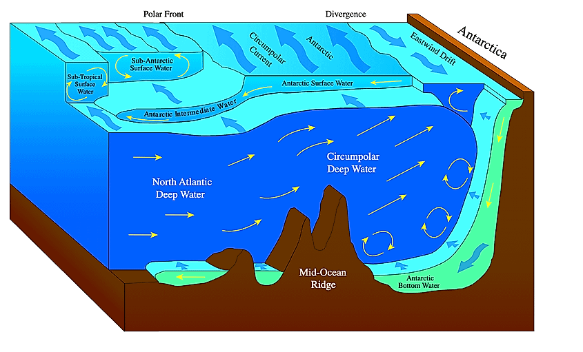 Upwelling in the Southern Ocean.
