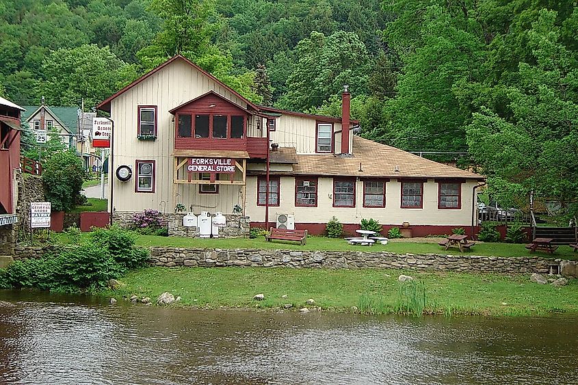 Forksville General Store near Worlds End State Park.
