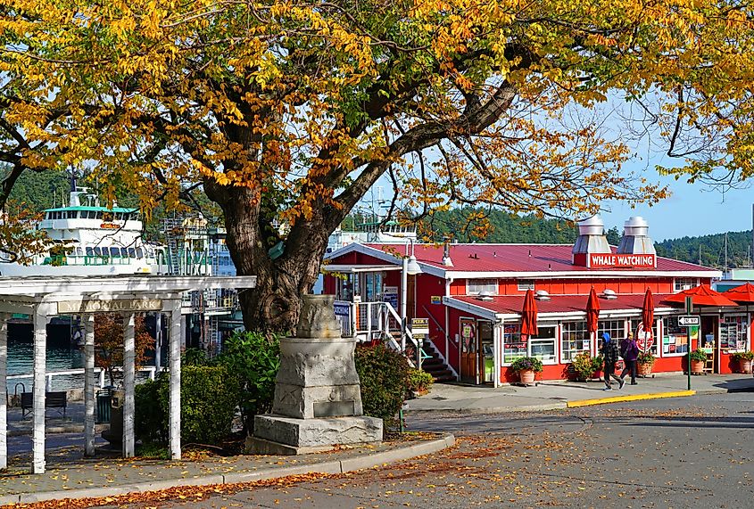 Downtown Friday Harbor, Washington