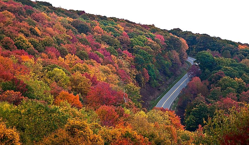 Cherohala Skyway in Tennessee in fall