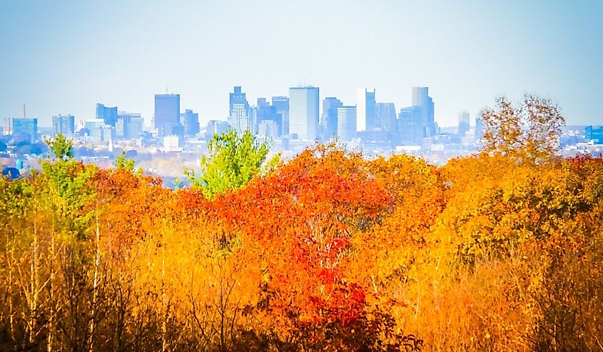 Boston skyline panoramic image behind the orange, yellow, and red leaves during foliage in the Blue Hills Reservation natural park. Foliage in New England, Massachusetts.
