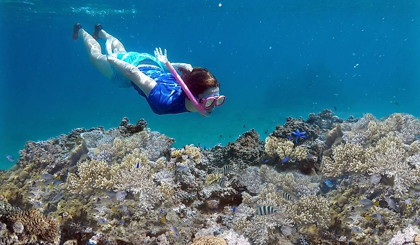 Young adult woman snorkeling underwater over a coral reef in a tropical resort on Vanua Levu Island, Fiji.