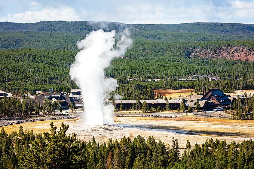 The famous Old Faithful Geyser in Yellowstone National Park.