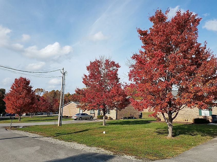 Fall season in Cookeville, Tennessee.