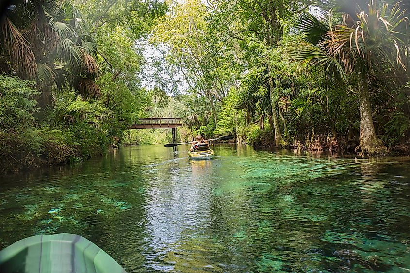 A visitor kayaking through the beautiful Silver Springs State Park in fall.