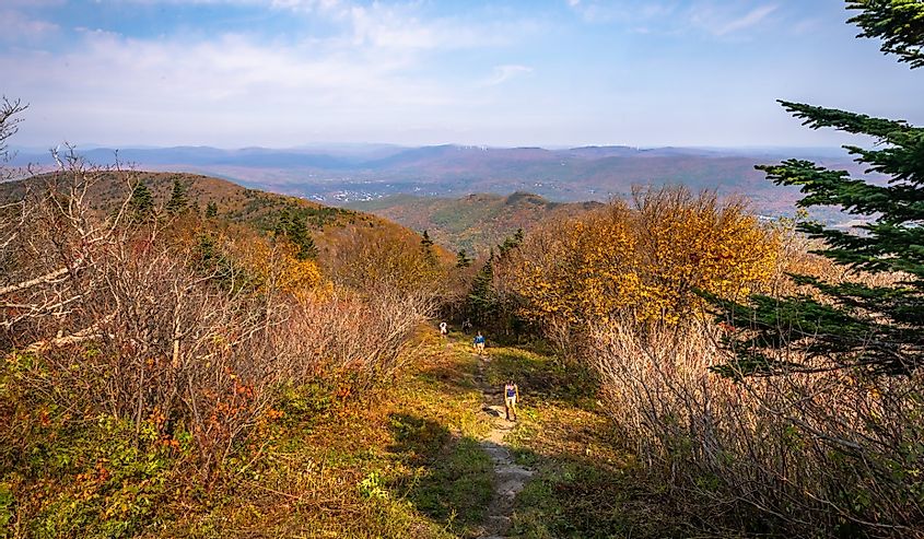 Hikers climb the Thunderbolt Trail to the summit of Mount Greylock in fall in Massachusetts