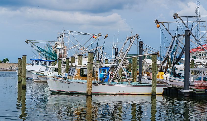 Fishing boats and trawlers in Bucktown harbor on Lake Pontchartrain