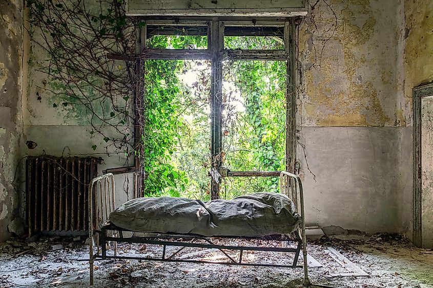 Poveglia Island