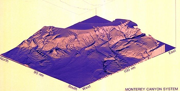 3-D computer image of the Monterey Canyon system.