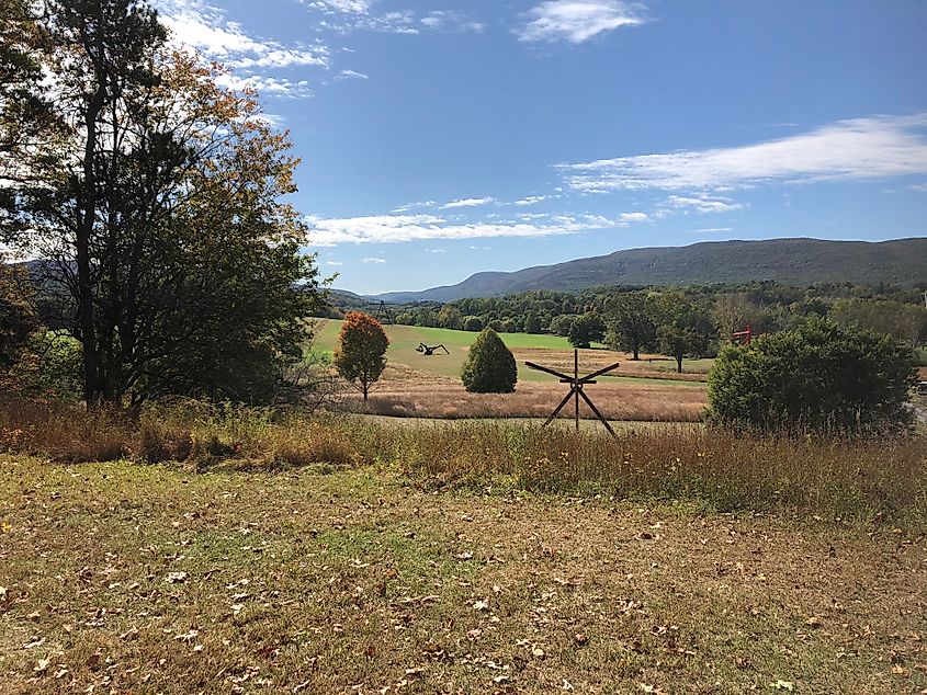 Field with di Suvero sculptures.