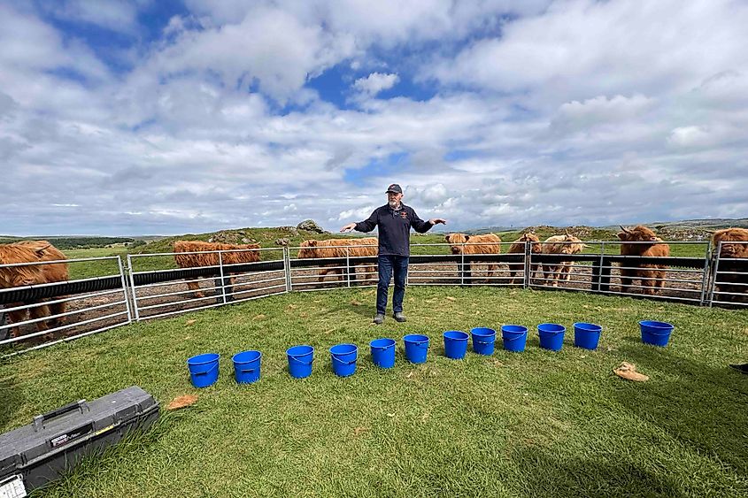 Feeding time draws a crowd Image credit Bryan Dearsley