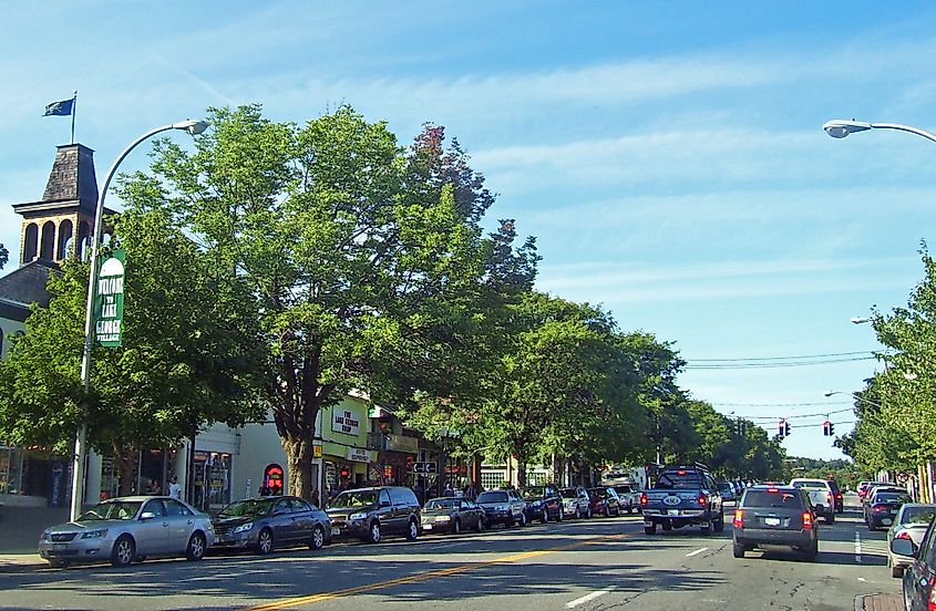 Downtown Lake George, New York. Image credit: Daniel Case, via Wikimedia Commons.