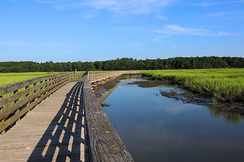 Huntington Beach State Park, South Carolina