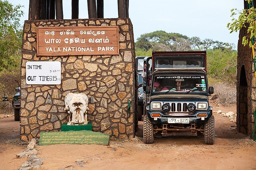 Yala National Park