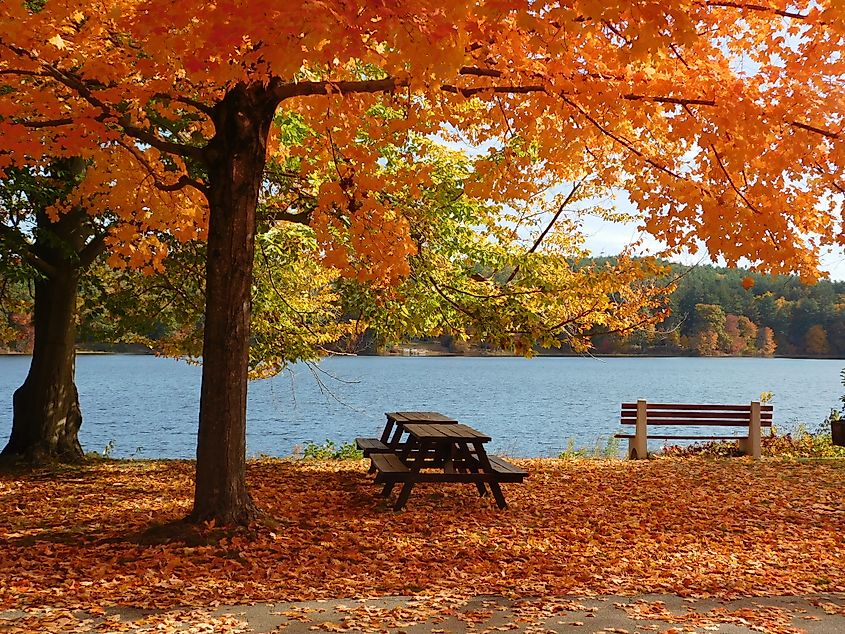 View from Roseland Park in Woodstock, Connecticut.