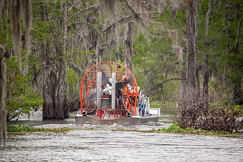 Henderson Swamp in Henderson, Louisiana.