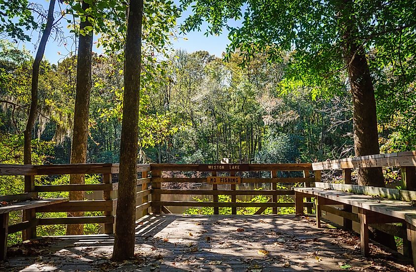 Weston Lake viewpoint at the Congaree National Park, South Carolina.