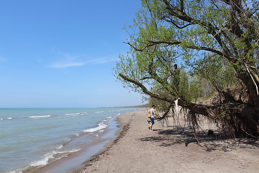 Long Point, Ontario